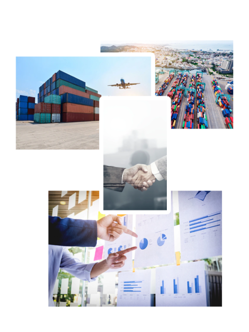 Bey Export İhracat Danışmanlığı
